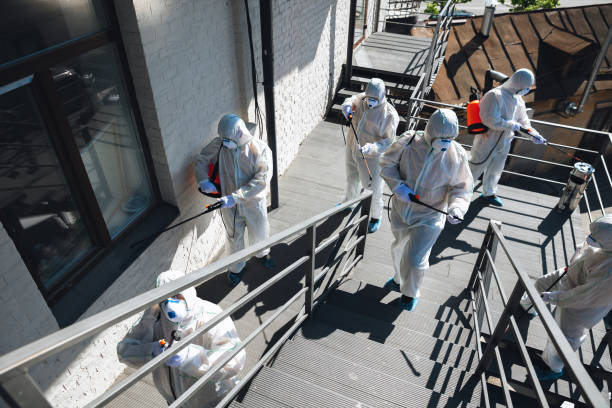 Best Real Estate Mold Inspection  in Sitka, AK