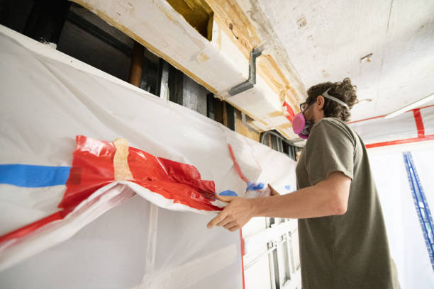 Mold Documentation for Insurance Claims in Sitka, AK