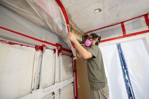 Best Post-Remediation Verification Testing  in Sitka, AK