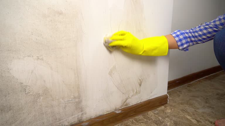 Best Residential Mold Inspection & Testing  in Sitka, AK