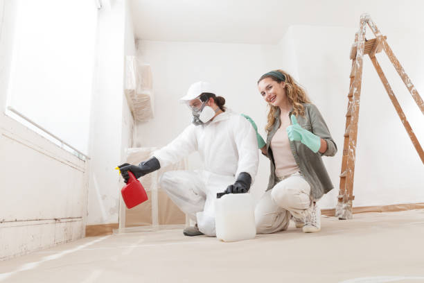 Best Mold Documentation for Insurance Claims  in Sitka, AK