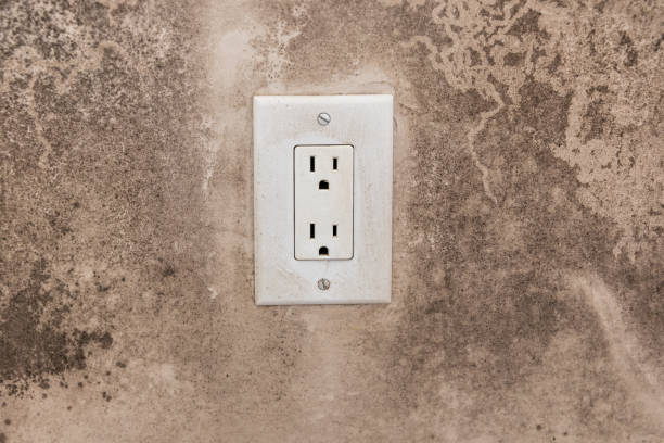 Best Black Mold Removal  in Sitka, AK